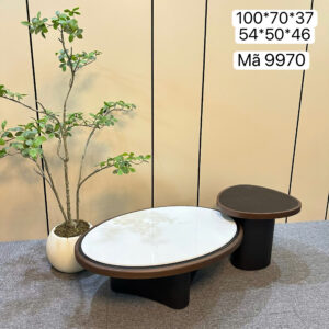 Cặp bàn trà đá cẩm thạch kết hợp gỗ veneer - mã 9970