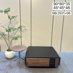 Cặp bàn trà đá cao cấp kết hợp gỗ veneer - mã 2531